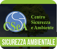 Sicurezza Ambientale