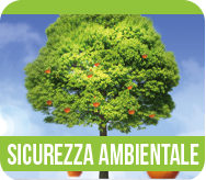Sicurezza Ambientale
